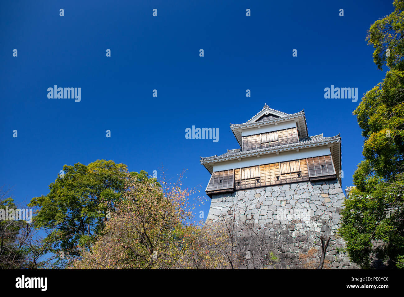 Tourelle en bois ou yagura sur mur de pierre du château de Kumamoto au Japon et l'arbre vert avec ciel bleu clair et copy space Banque D'Images