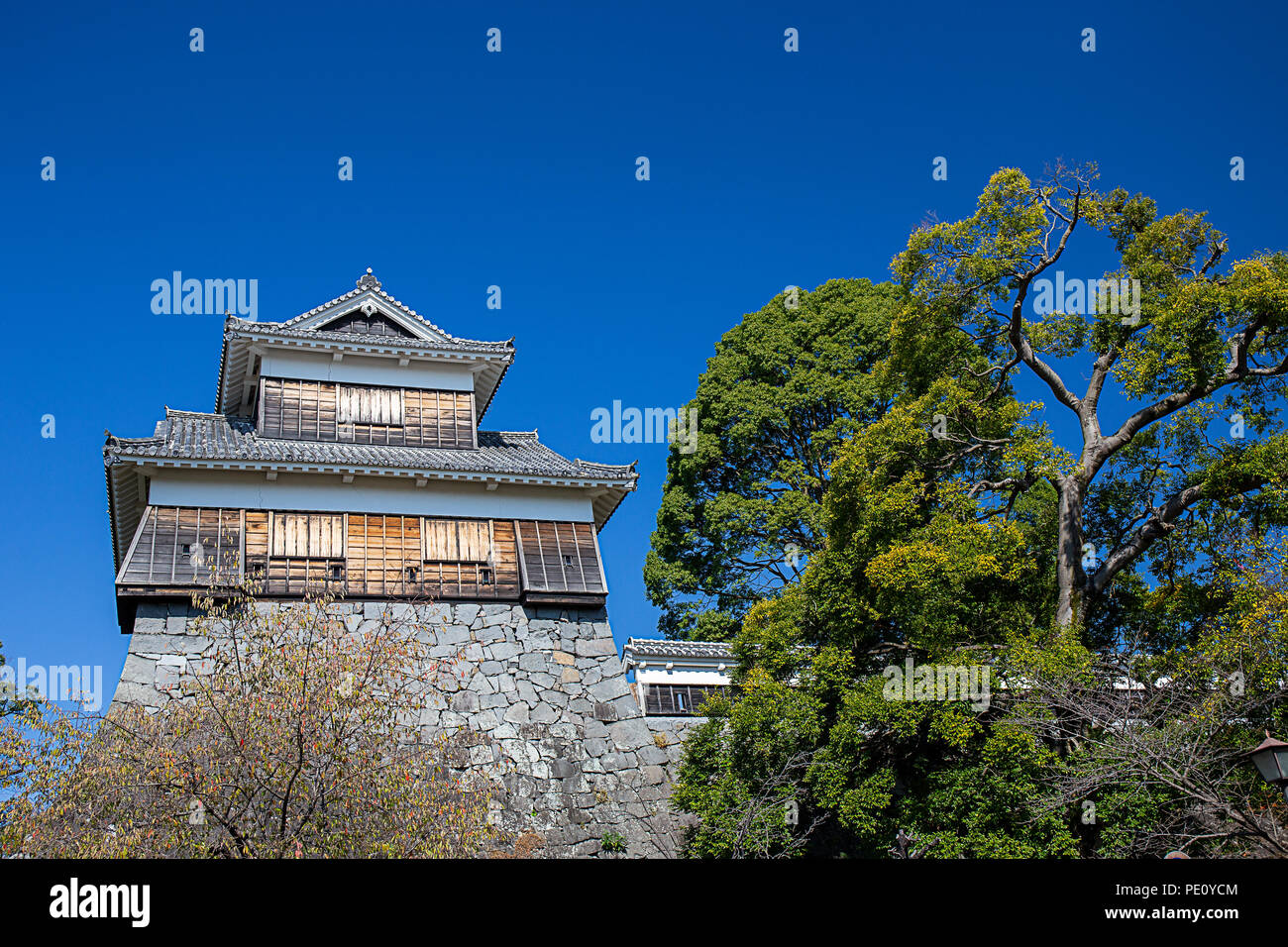 Tourelle en bois ou yagura sur mur de pierre du château de Kumamoto au Japon et l'arbre vert avec ciel bleu clair et copy space Banque D'Images