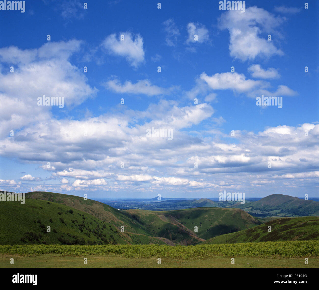 Long Mynd, Shropshire, Angleterre Banque D'Images