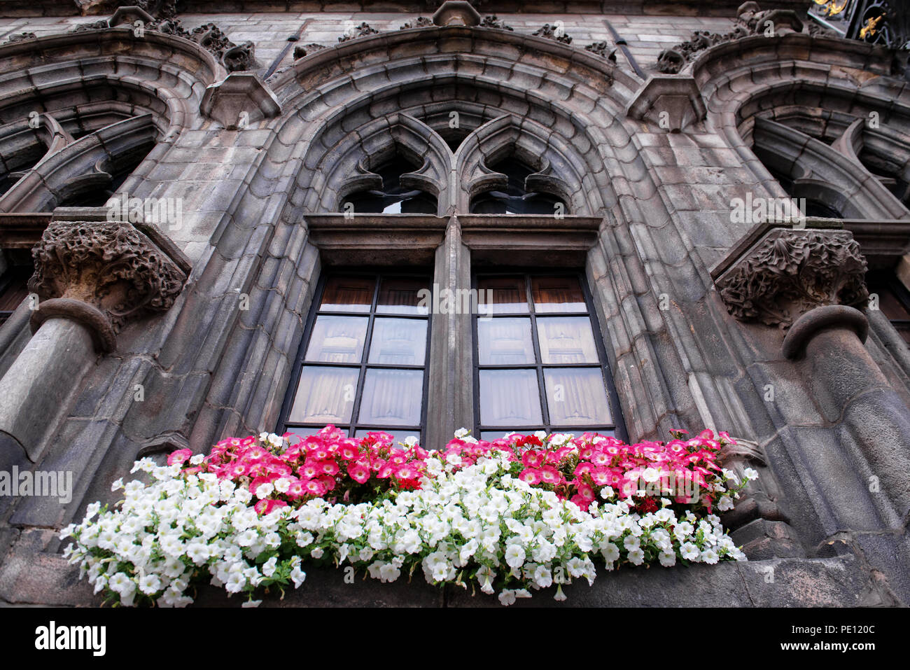 Fleurs de pétunia décorer une fenêtre gothique de l'hôtel de ville de Mons, Belgique Banque D'Images