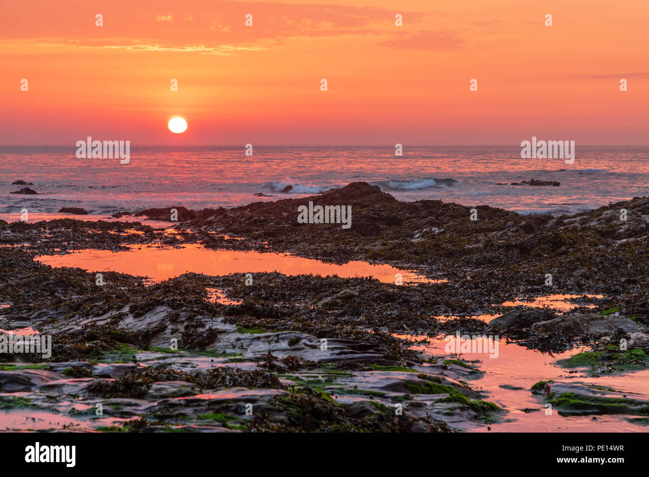 Le soleil se couchant dans la mer à Daymer Bay dans la région de Cornwall. La rose et or la lumière du soleil couchant se reflète dans les rochers. Banque D'Images