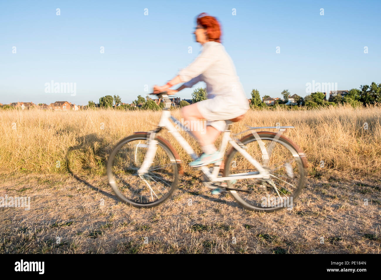 Cycliste de la campagne. Vélo femme à travers un champ en été du soleil du soir, England, UK. Style de vie sain et la liberté concept Banque D'Images