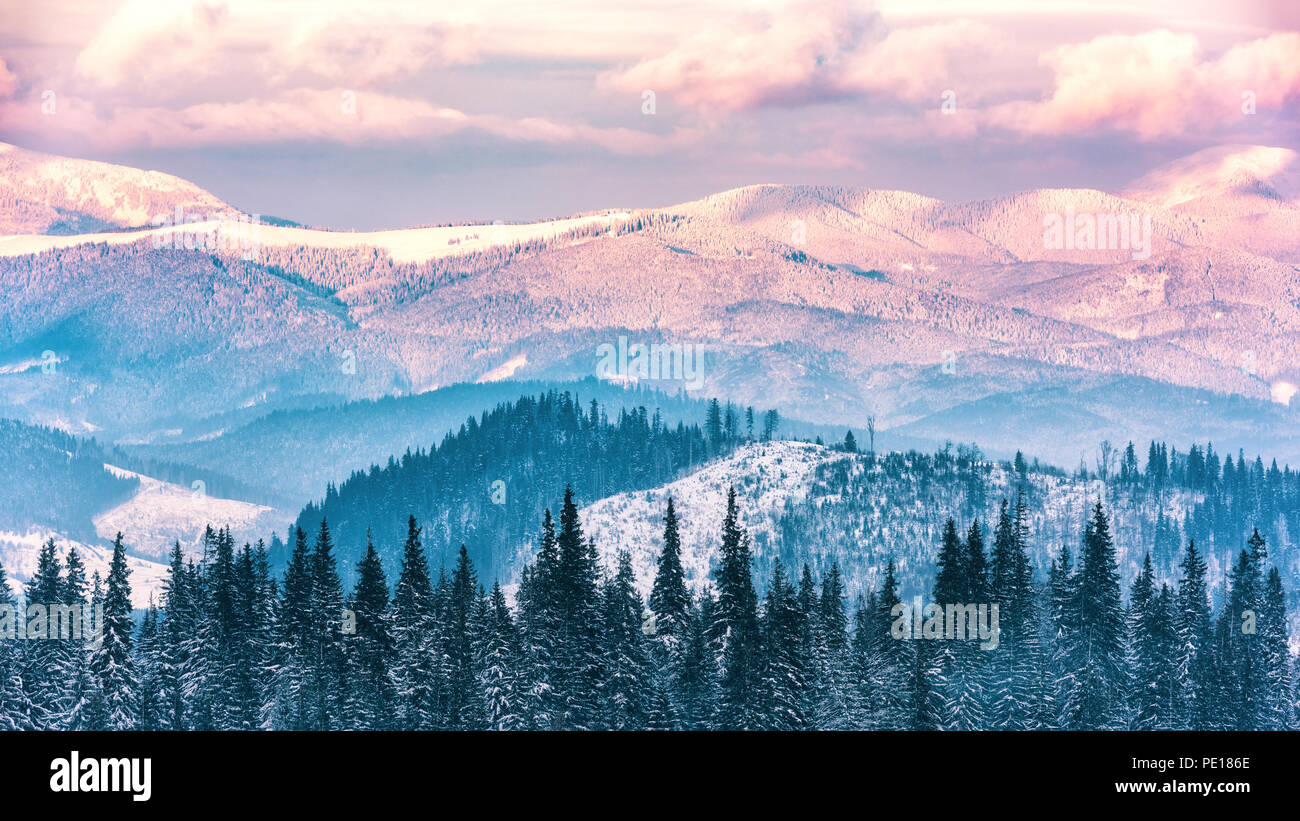 Beau paysage d'hiver, les montagnes enneigées d'une douce lumière au coucher du soleil Banque D'Images