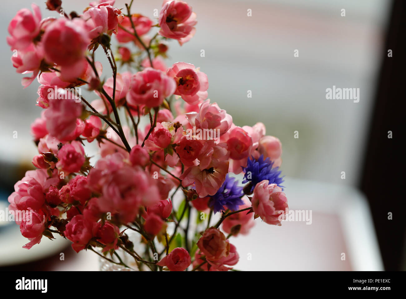 Rose Im Glas Und Flowerbox Monde Des Fleurs Wohnaccessoires