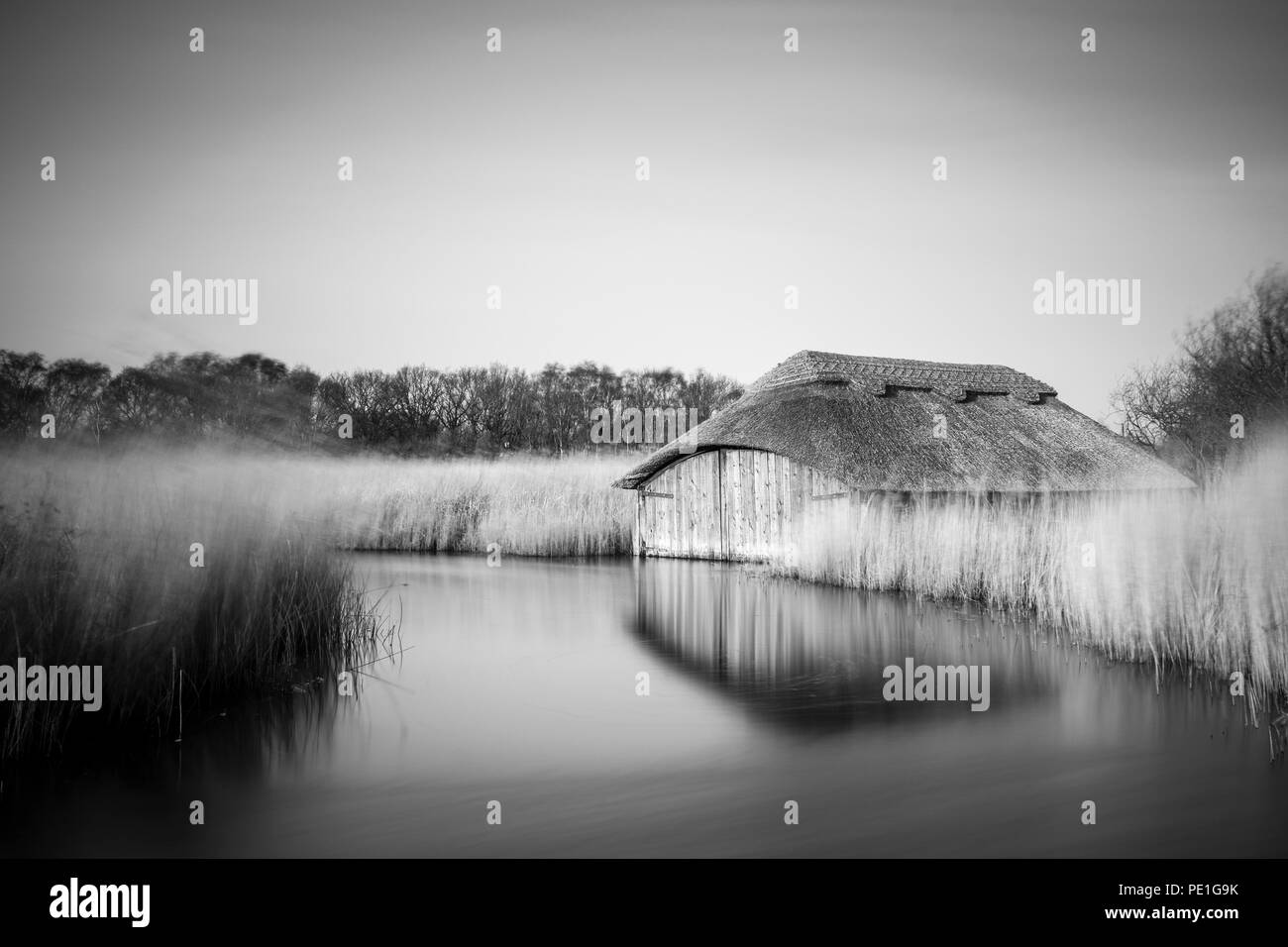 Un hangar de chaume dans les roseaux. Banque D'Images