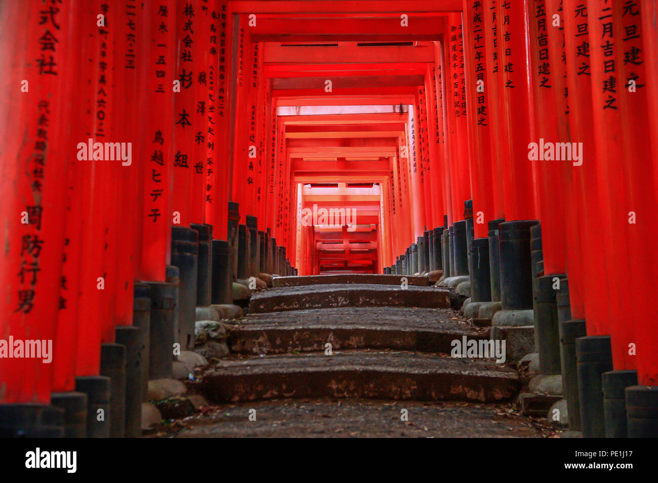Kyoto, Japon - le Sanctuaire Fushimi Inari-taisha est probablement le plus célèbre sanctuaire à Kyoto, avec son torii rouge l'élaboration de l'autre côté de la montagne sentiers Banque D'Images