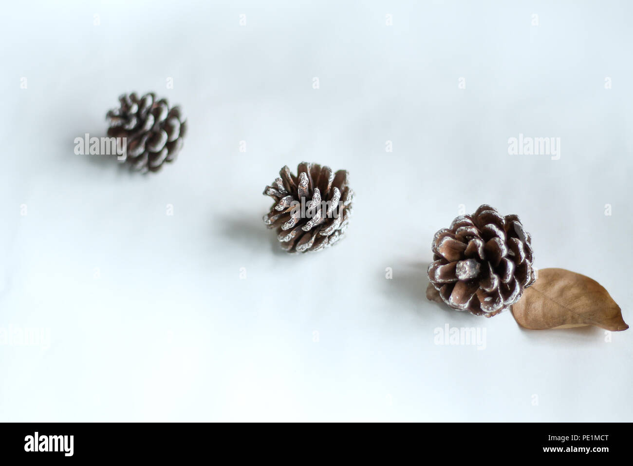 L'hiver et l'automne minimaliste inspiré background Banque D'Images