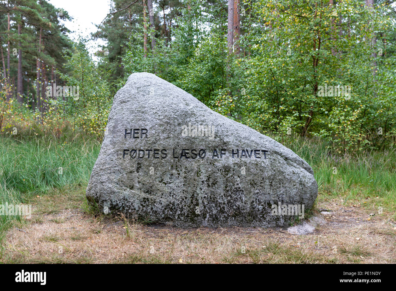 L'Laesoe (Laesøstenen Rock), marquant l'endroit où l'île de Læsø, est pensé pour avoir passé de la mer ; Klitplantage Læsø, Laesoe, Danemark Banque D'Images