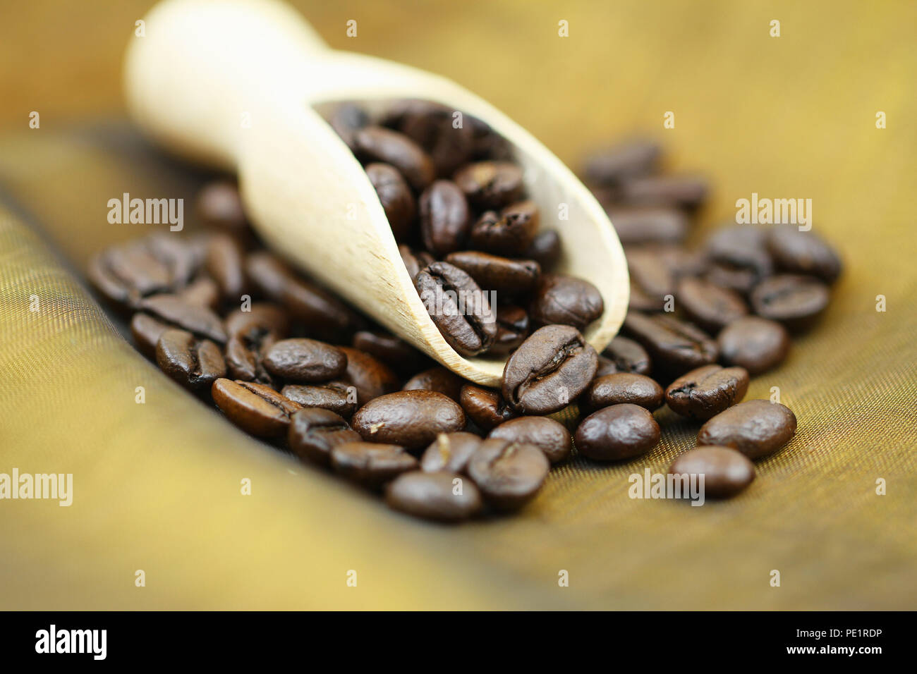 Les grains de café torréfiés sur scoop en bois peu profond, DOF Banque D'Images