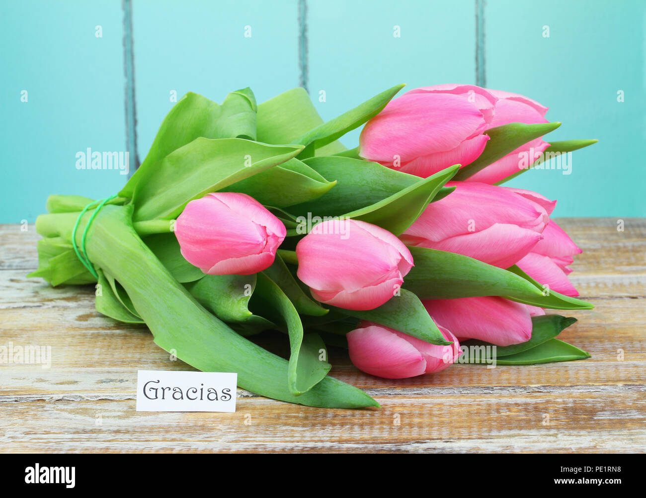 Gracias (merci en espagnol) Carte avec bouquet de tulipes roses Banque D'Images