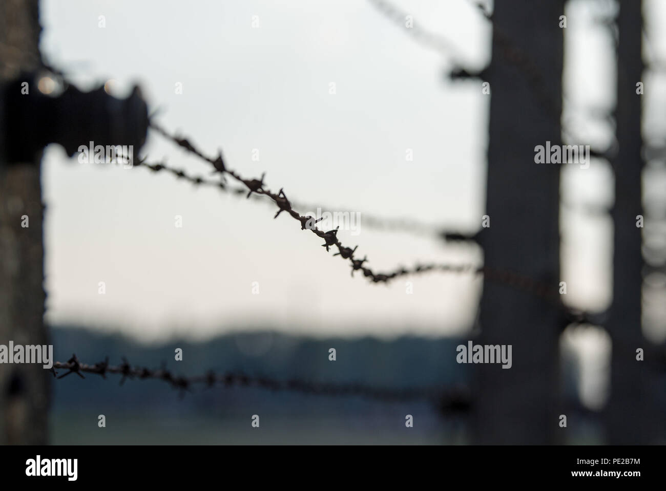 Oswiecim, Pologne. 09Th Aug 2018. Vue d'une clôture en fil barbelé dans l'ancien camp d'extermination d'Auschwitz-Birkenau. De 1940 à 1945, le SS exploité le complexe d'Auschwitz avec de nombreux sous-camps comme l'extermination et les camps de concentration. Credit : Monika Skolimowska/dpa-Zentralbild/dpa/Alamy Live News Banque D'Images