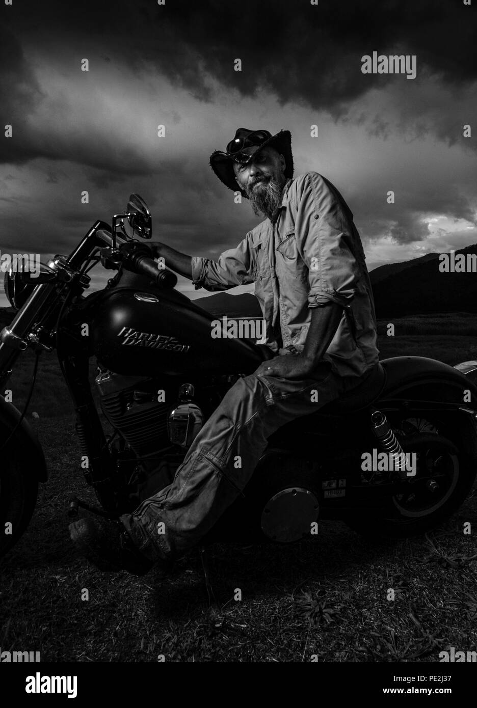Rider Harley Davidson s'arrête pour un chat Banque D'Images