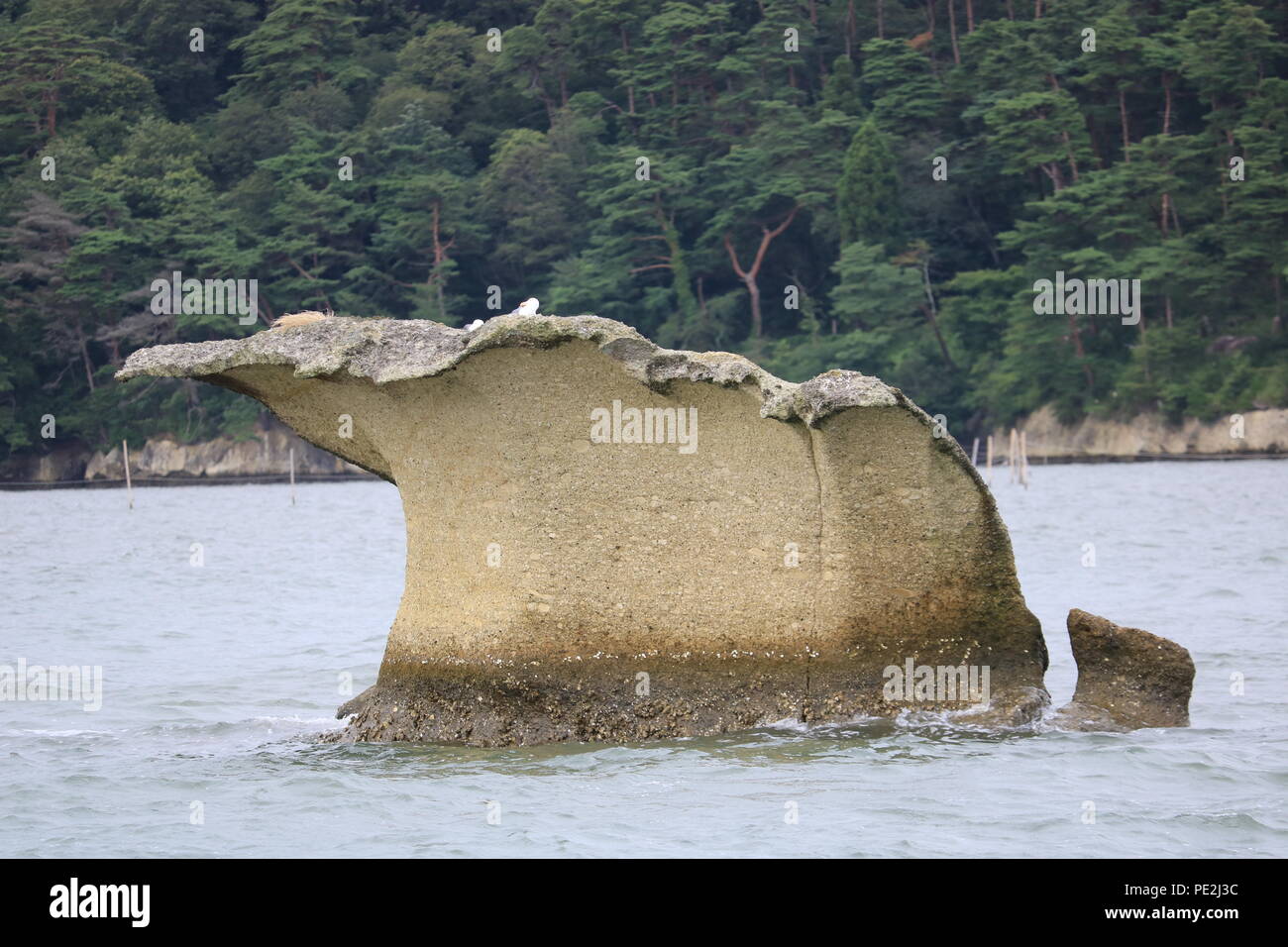 Une île isolée dans la baie de Matsushima, Sendai, Japon Banque D'Images