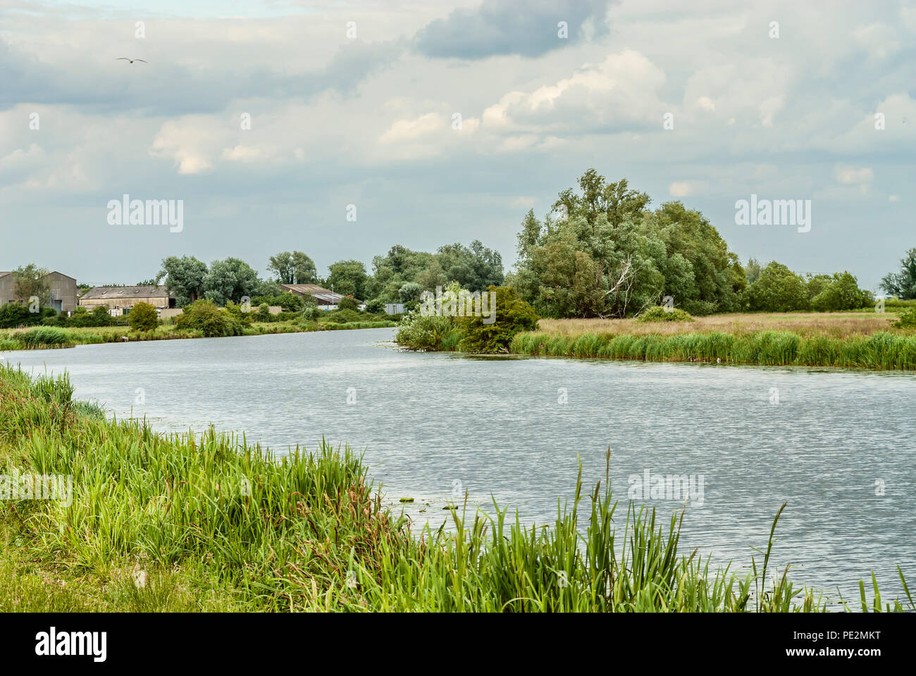 Paysage de fens à la rivière Great Ouse, également connu sous le nom de Fenland, près d'Ely, Cambridgeshire, Angleterre Banque D'Images