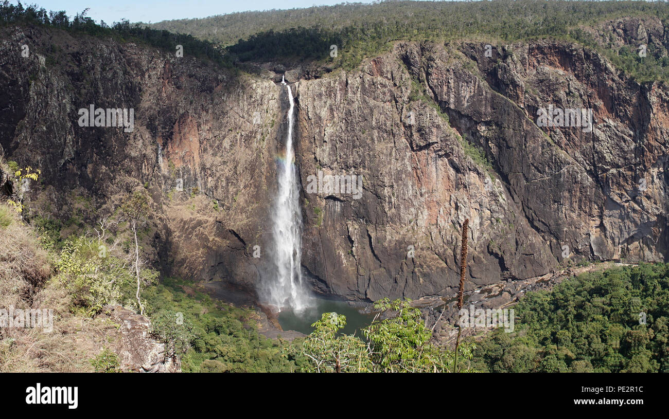 Les Wallaman Falls, la plus haute, permanent, seule la vitesse de chute en Australie, fait partie de l'UNESCO au Patrimoine Mondial Tropiques humides de Queensland Banque D'Images