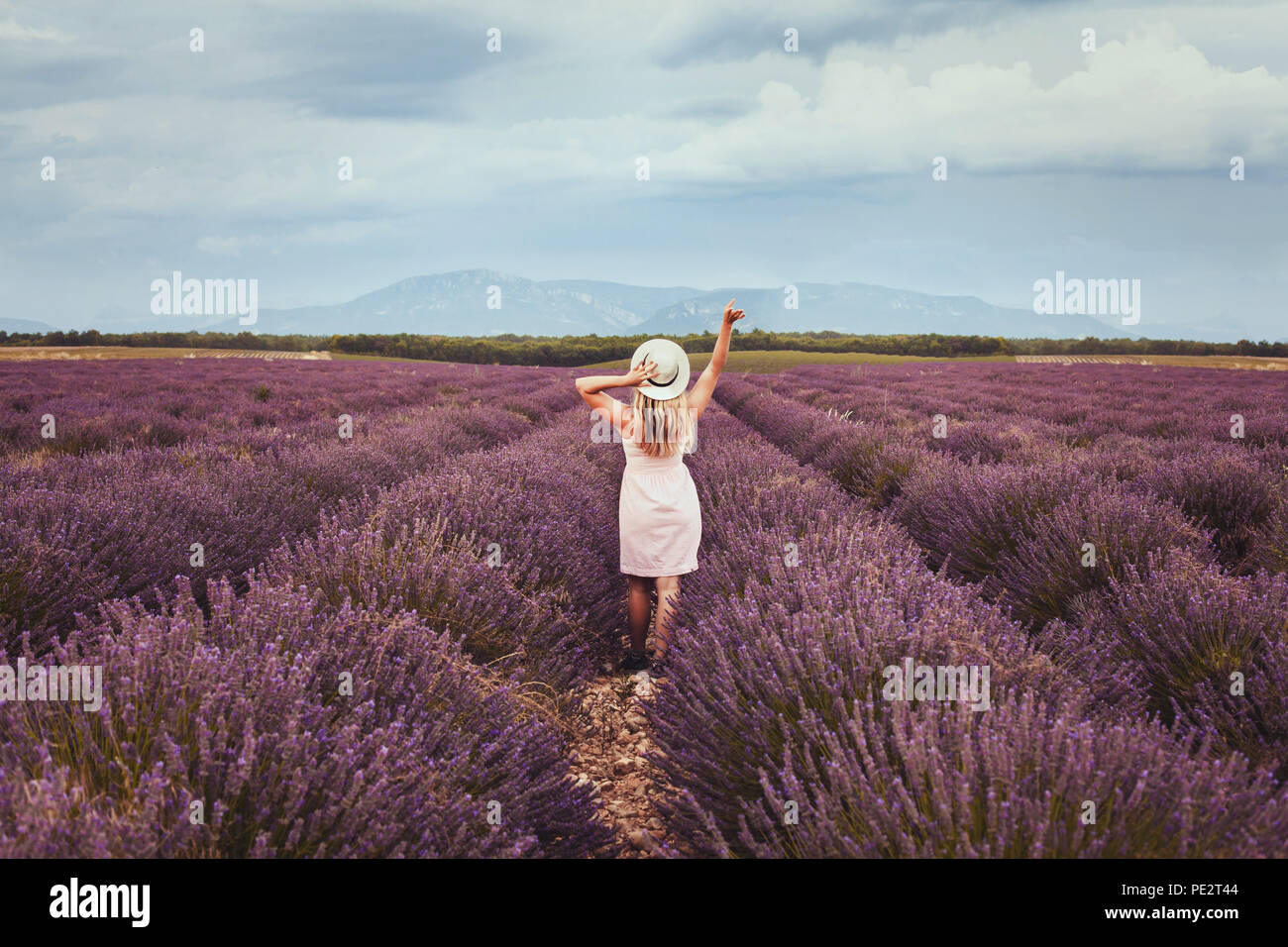 Bonheur et joie concept, happy woman profiter de vacances d'été dans les champs de lavande en Provence, France Banque D'Images