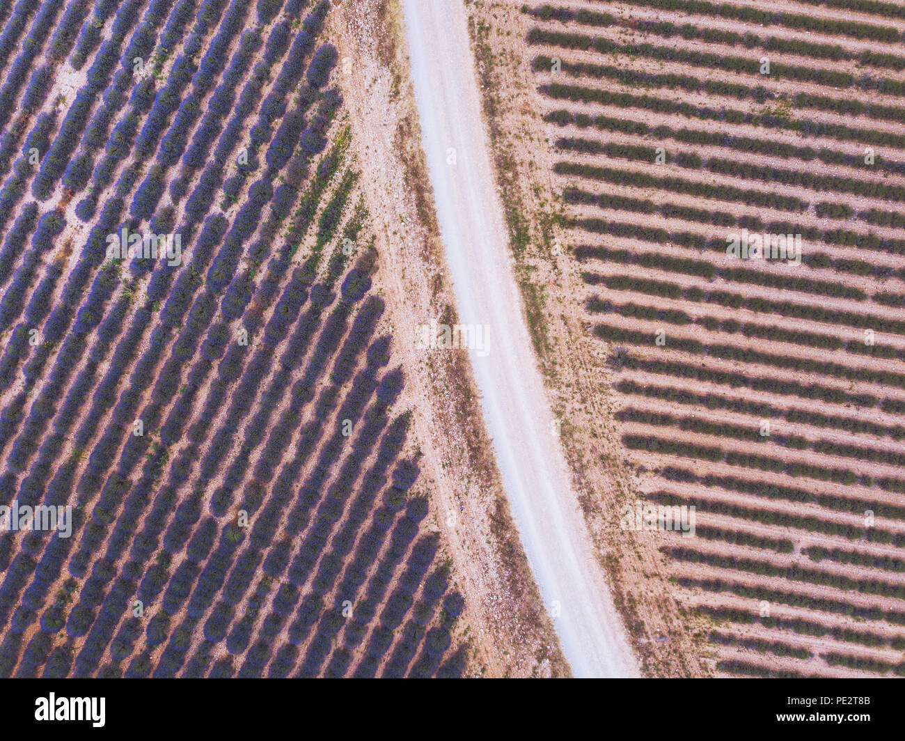 Drone sur route dans les champs, la texture de l'antenne paysage géométrique Banque D'Images