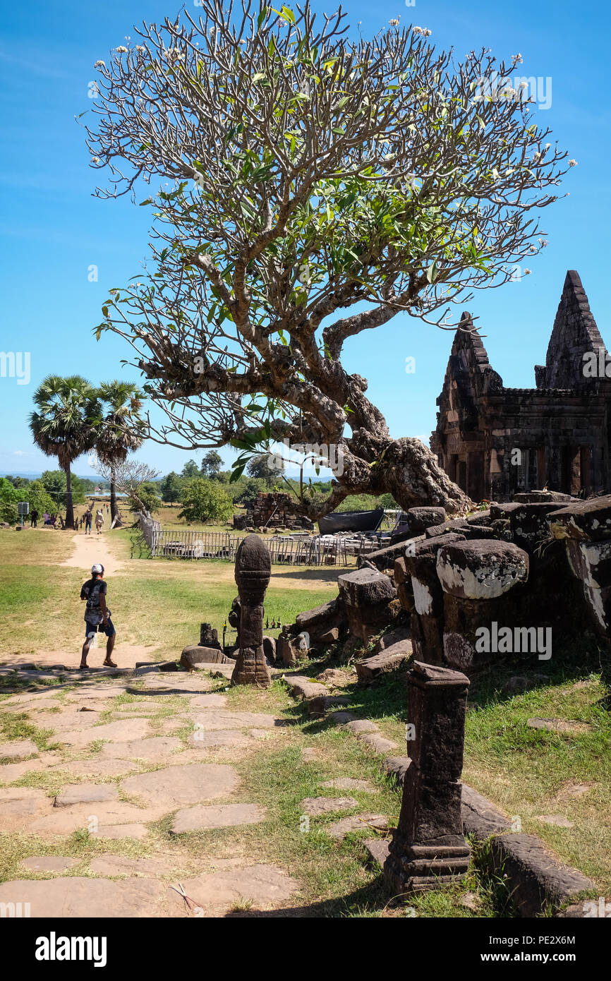 Wat Phou Champassak, Laos, Banque D'Images