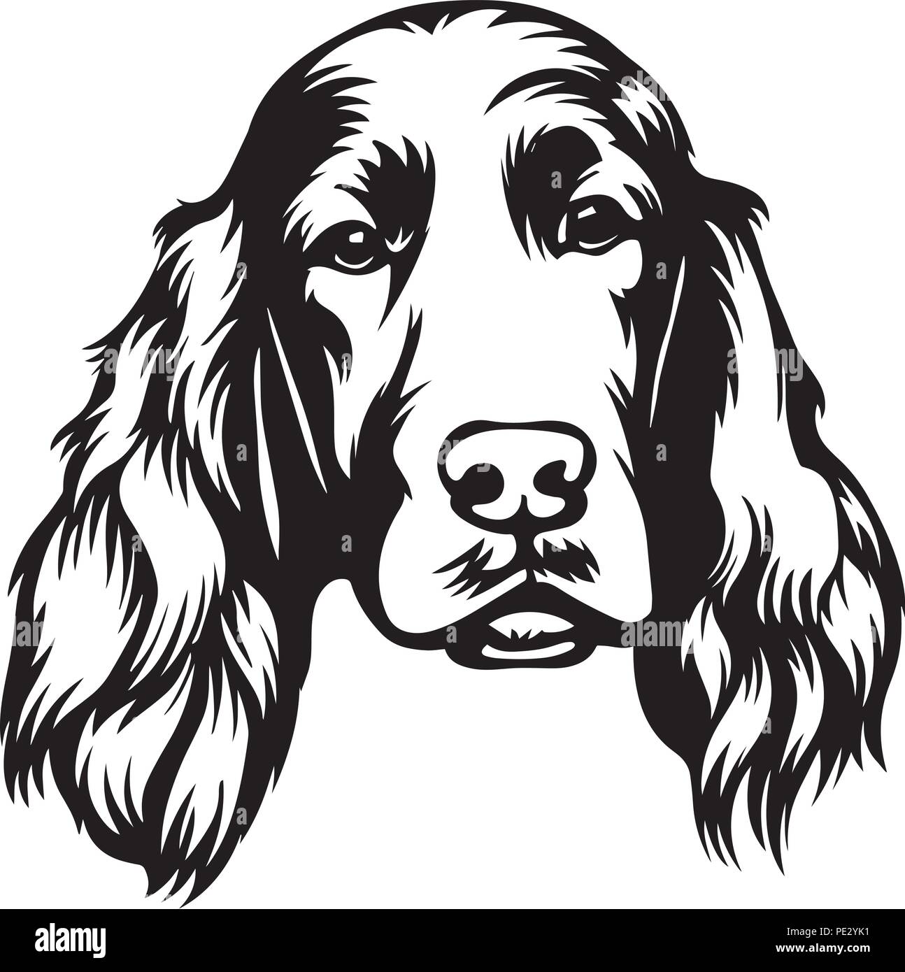 Setter Irlandais Race De Chien Chiot Face Isolé Vecteurs Et