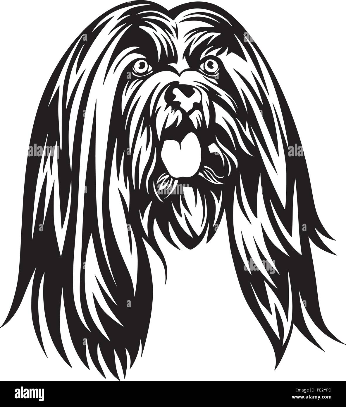 Race De Chien Lhassa Apso Chiot Face Isolé Vecteurs Et