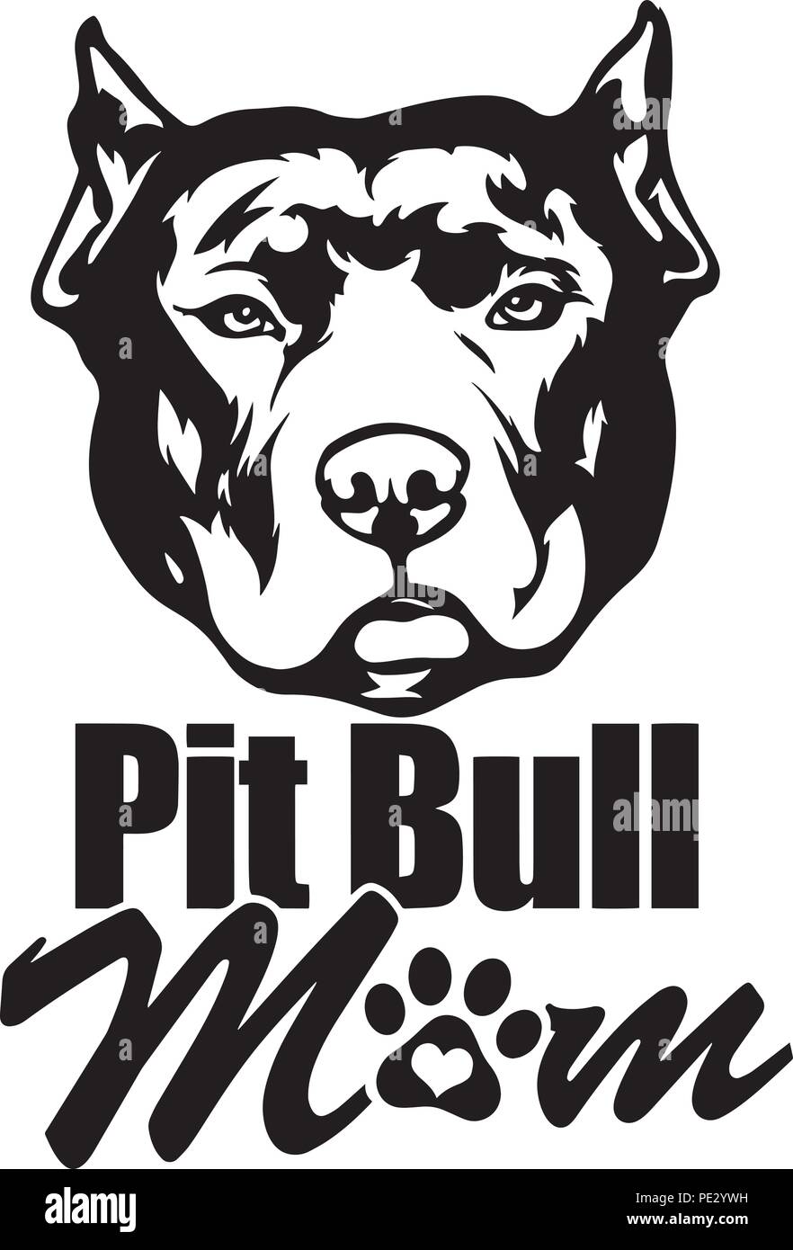 Pit-Bull Pitbull chien race de chien chiot face isolé Illustration de Vecteur