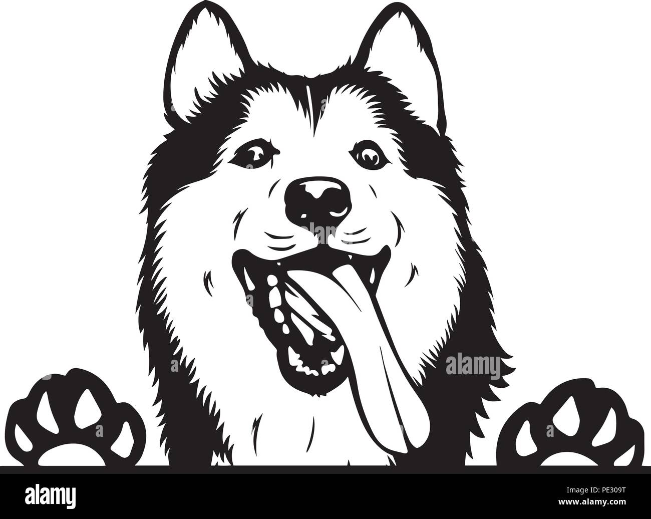 Husky Sibérien race de chien chiot face isolé Illustration de Vecteur