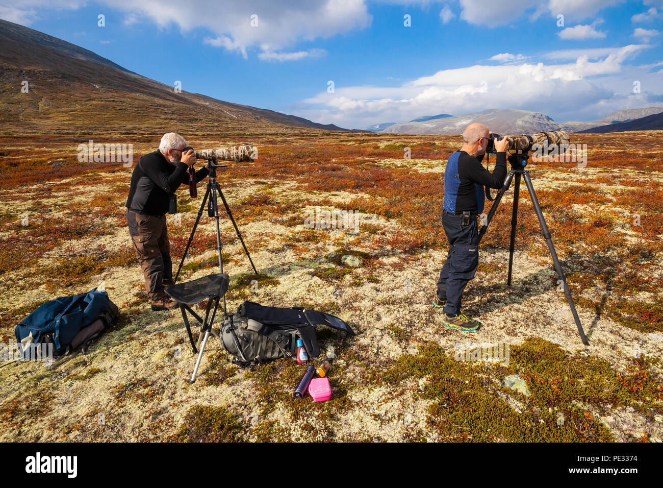 Deux photographes de la faune avec de grands téléobjectifs à l'œuvre dans le parc national de Dovrefjell, Dovre, la Norvège. Banque D'Images