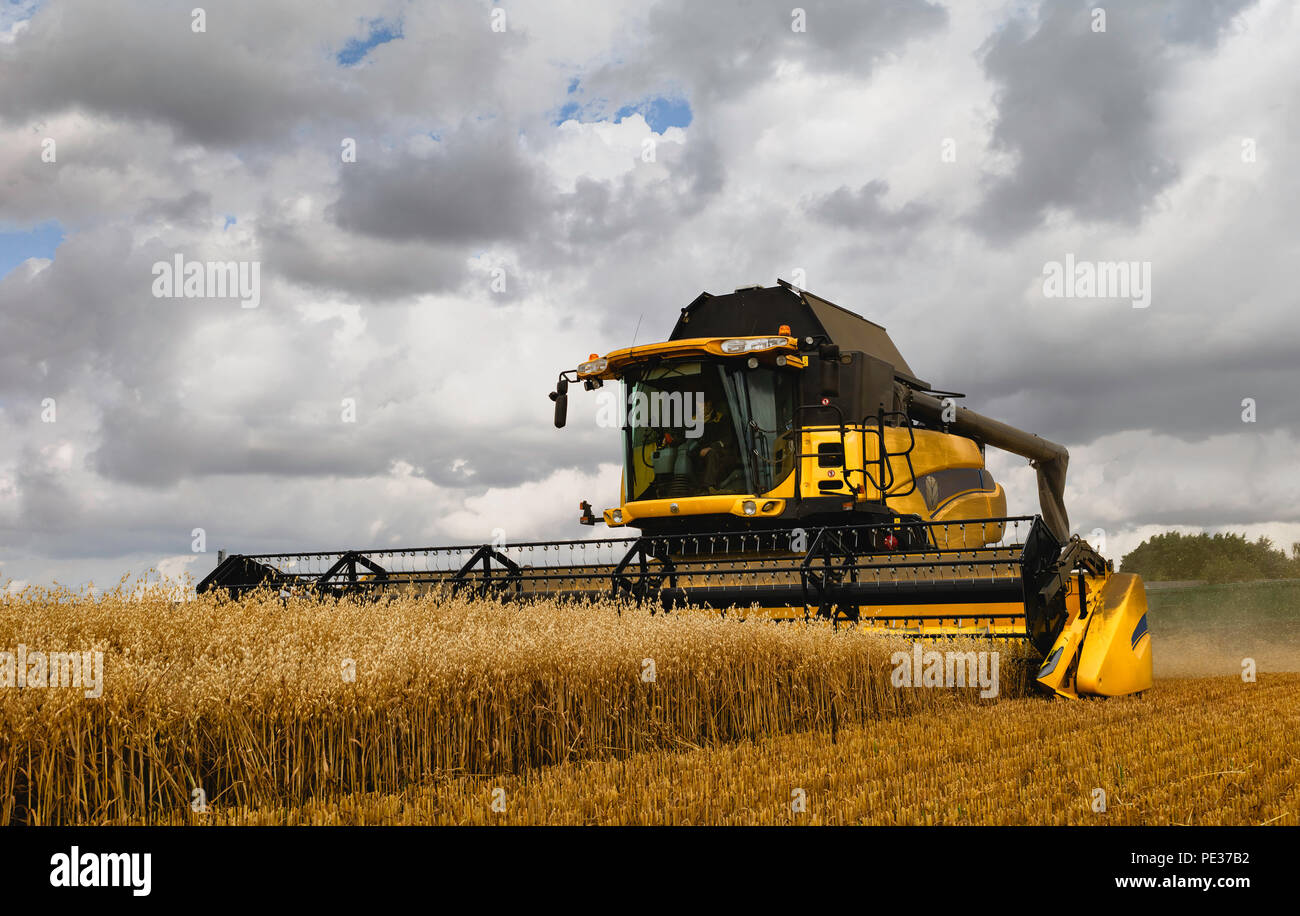 Les machines d'un champ d'avoine récoltes par un beau matin ensoleillé en été, le 10 août 2018 à Beverley, Yorkshire, UK. Banque D'Images