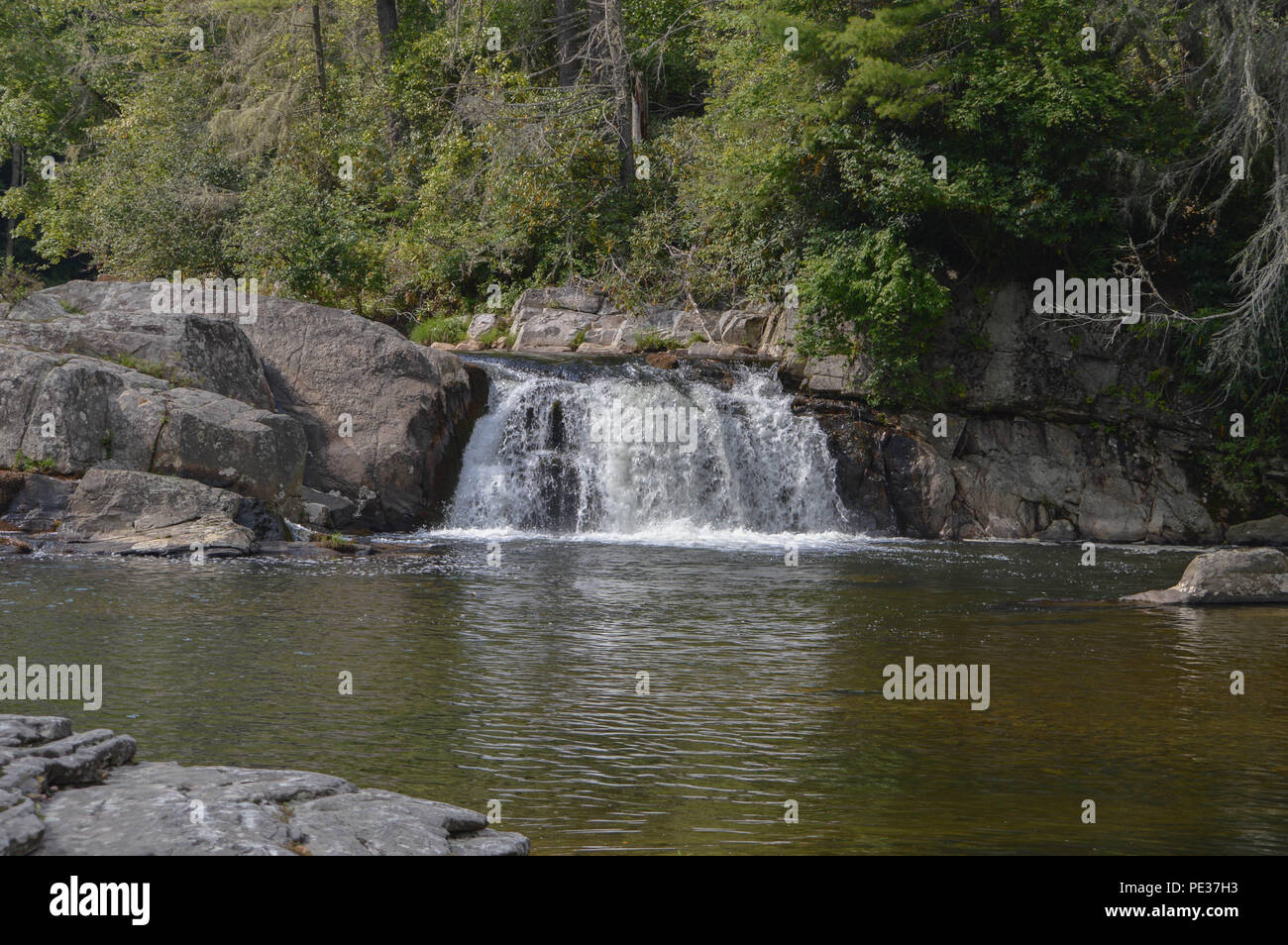 Linville babillage River Belle Cascade Cascade coulant situé à Pisgah Forest National dans les Appalaches de la Caroline du Nord occidentale Banque D'Images