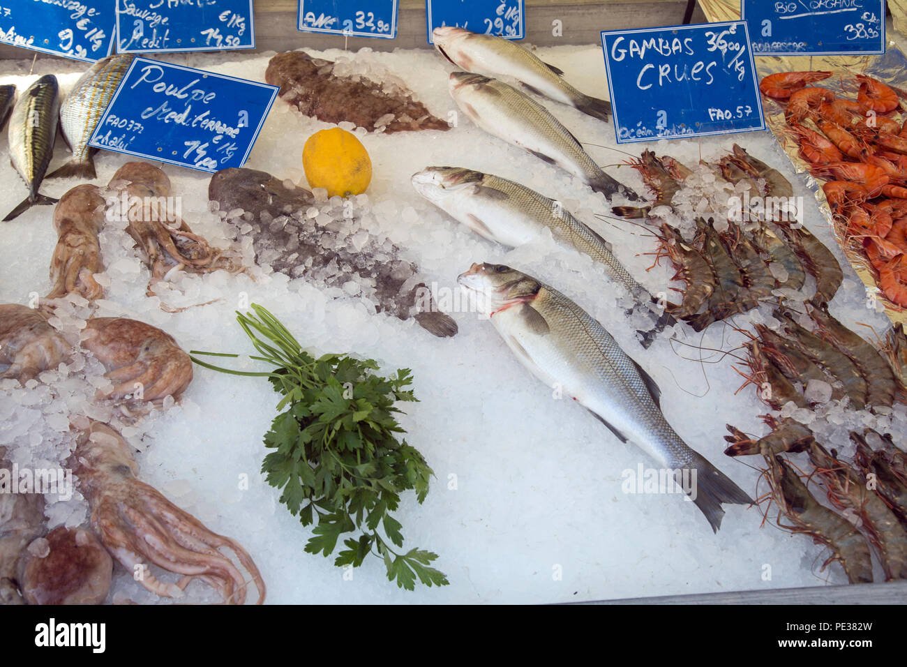 Nice, juin 2018, divers poissons sur la glace à un marché de rue Banque D'Images