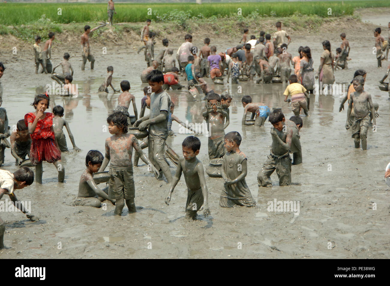Gopalganj, Bangladesh - Mars 26, 2009 : Pêche à l'assèchement des rivières, canaux et plans d'eau durant la saison d'hiver est une caractéristique commune dans Bangla Banque D'Images