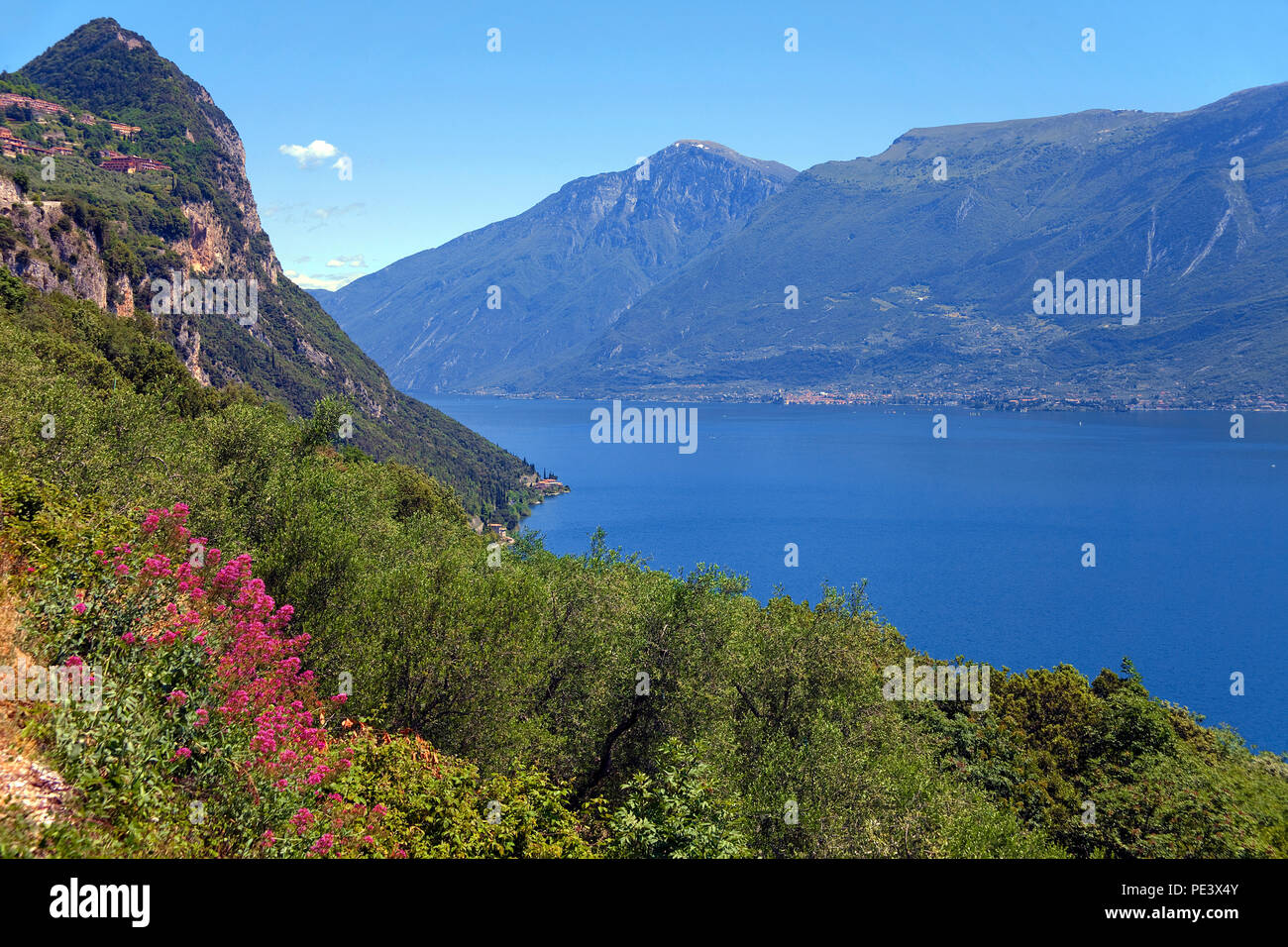 Steil abfallende Felsen am Gardasee Westufer vom, Lombardie, Provinz Brescia, Italie | des rochers à l'accord du Lac de Garde, Lombardie, Italie Banque D'Images