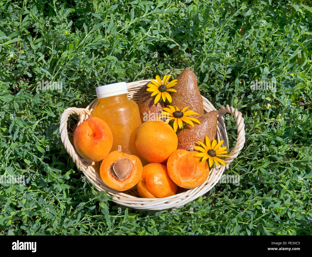 Fruits savoureux et bouteille de jus en panier en osier sur l'herbe verte au picnic Banque D'Images