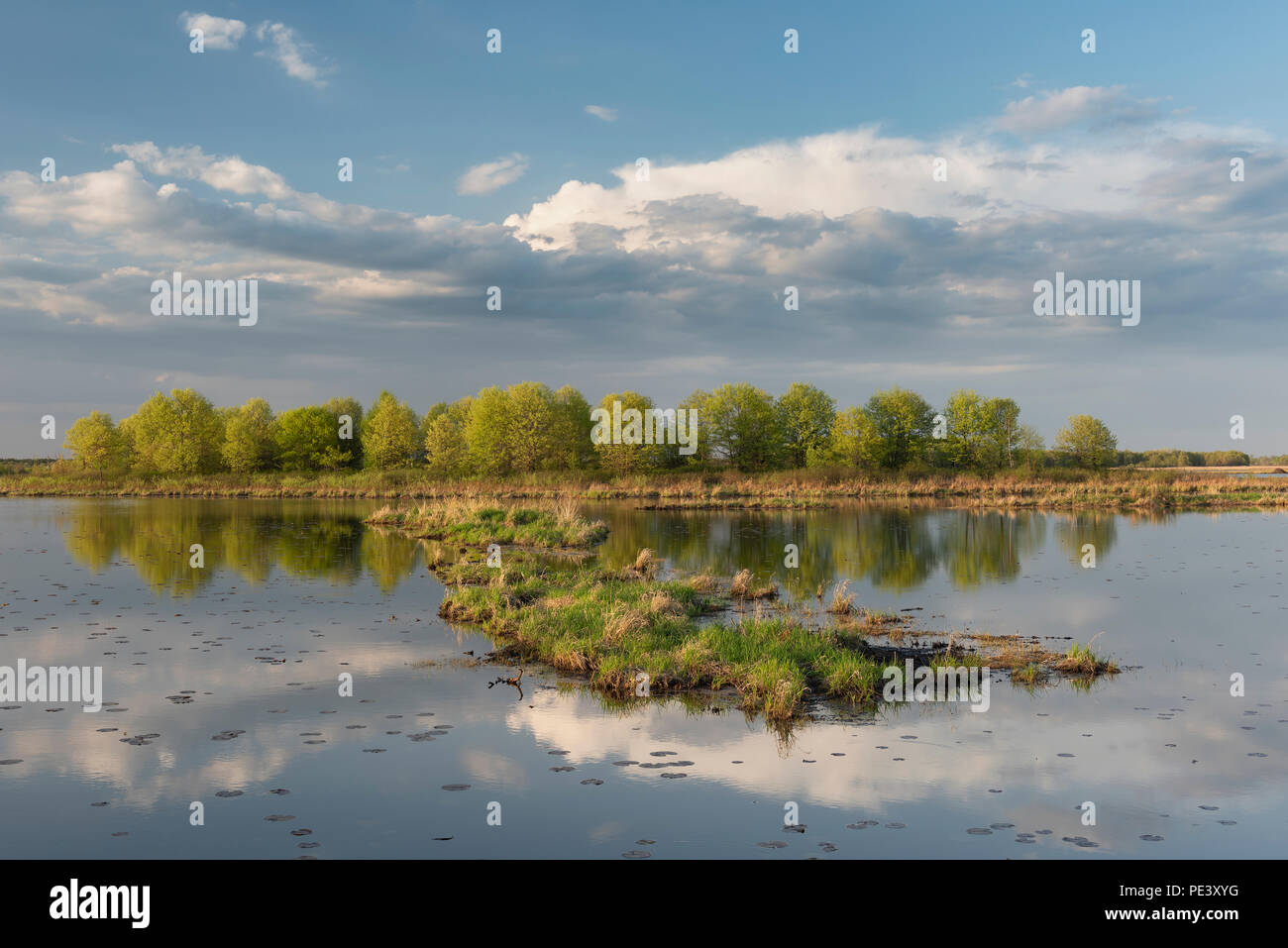 Des nuages de pluie au coucher du soleil sur Crex Meadows Wildlife Management Area, mai, WI, États-Unis d'Amérique, par Dominique Braud/Dembinsky Assoc Photo Banque D'Images