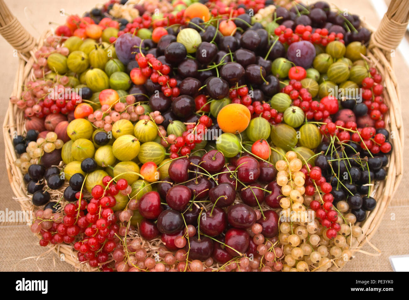 Corbeille de fruits la pièce à Tatton Park RHS Flower show Cheshire England UK Banque D'Images