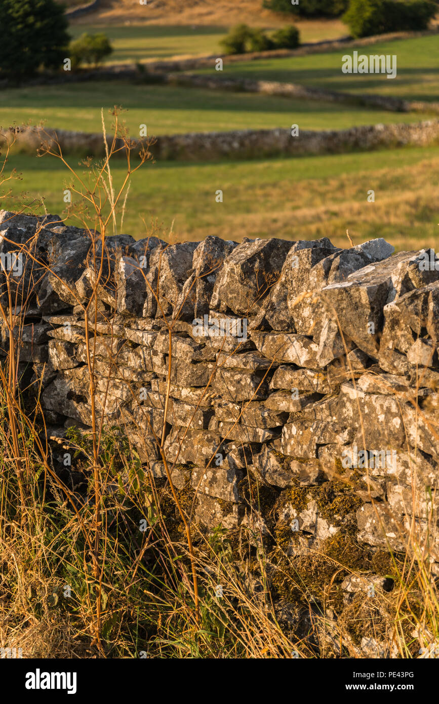 Close up vue verticale d'un mur en pierre sèche calcaire Derbyshire avec mise au point sur le premier plan sur une chaude soirée de juillet dans le parc national de Peak District Banque D'Images