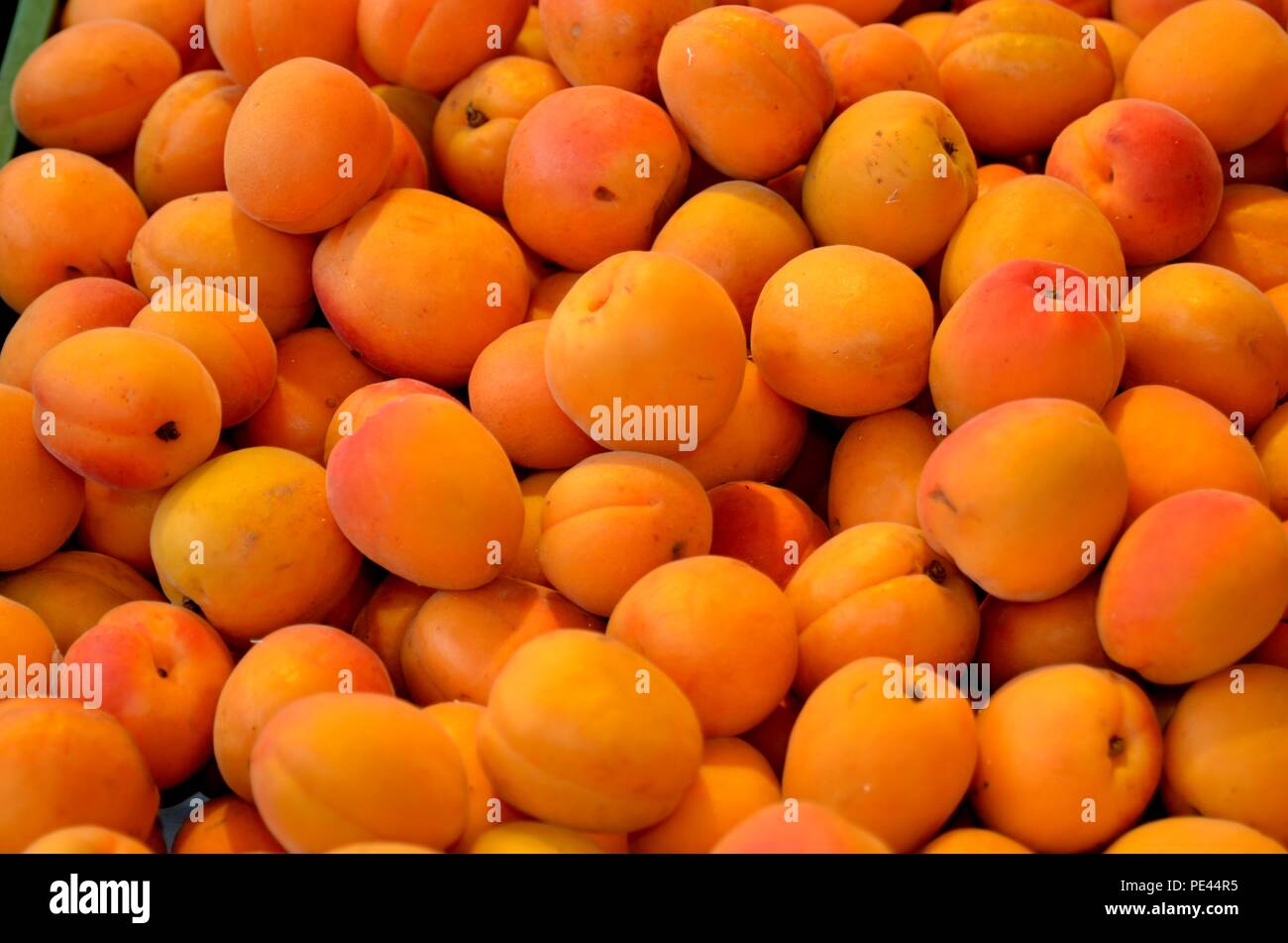 Abricots à vendre sur le marché 'Grünmarkt' - Farmerss' à Salzbourg, Autriche Banque D'Images