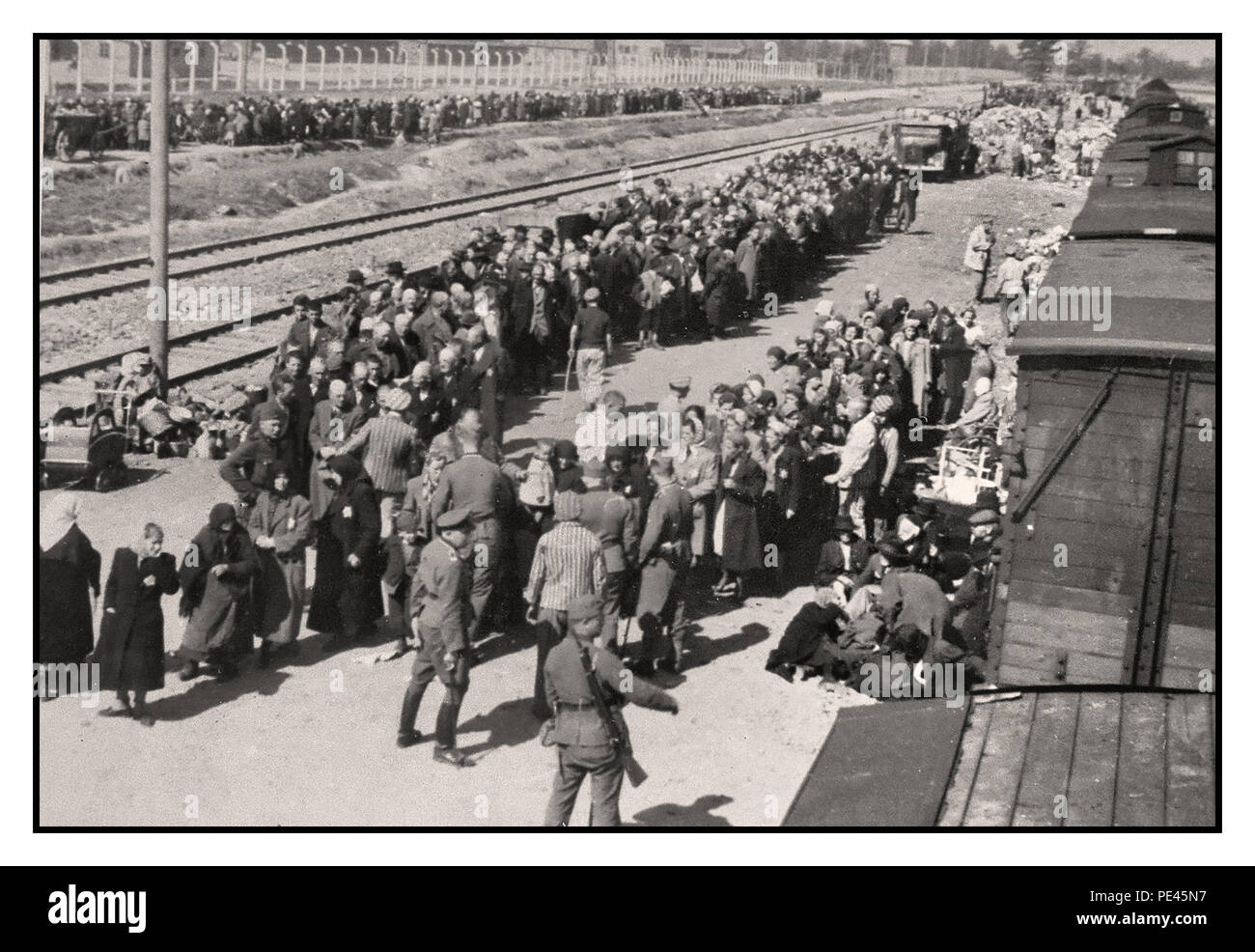 AUSCHWITZ-BIRKENAU FILE D'ARRIVÉE- LIGNE PRISONNIERS D'une vision de l'enfer sur terre. 1944, 'Nazis' (classement) de la vie ou de la mort des prisonniers sans méfiance sur l'extérieur du hall de la rampe d'entrée du camp de la mort d'extermination d'Auschwitz-Birkenau. Le fameux camp d'Auschwitz a été commencé par ordre d'Adolf Hitler en 1940 pendant l'occupation de la Pologne par l'Allemagne nazie pendant la Seconde Guerre mondiale, grâce à Heinrich Luitpold Himmler le Reichsführer de la Schutzstaffel, et membre éminent du parti nazi de l'Allemagne Banque D'Images