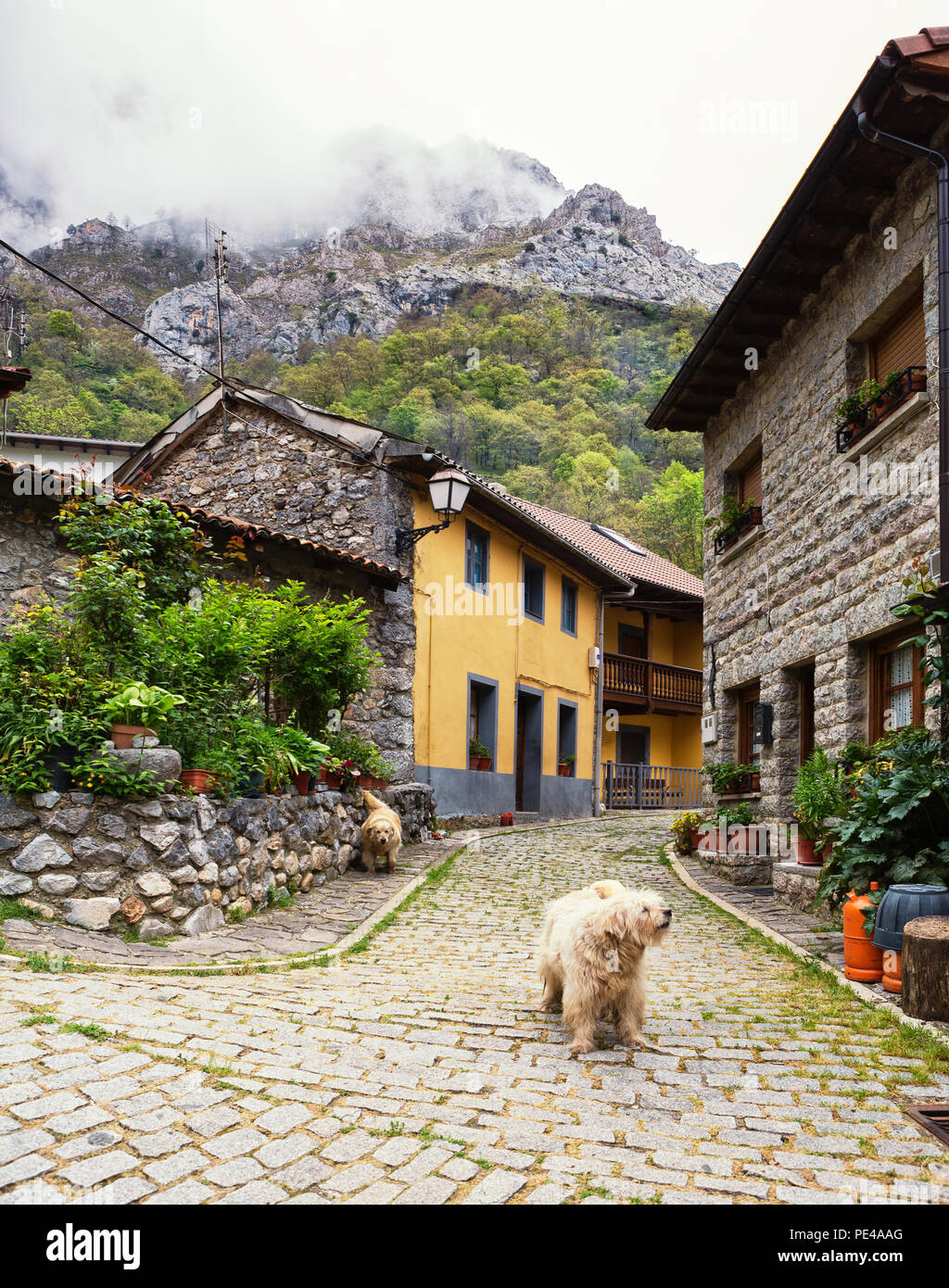 Les petites rues sinueuses avec de vieilles maisons typiques dans une journée de printemps, Caïn de Valdeon, Picos de Europa, Castille et Leon, Espagne. Banque D'Images