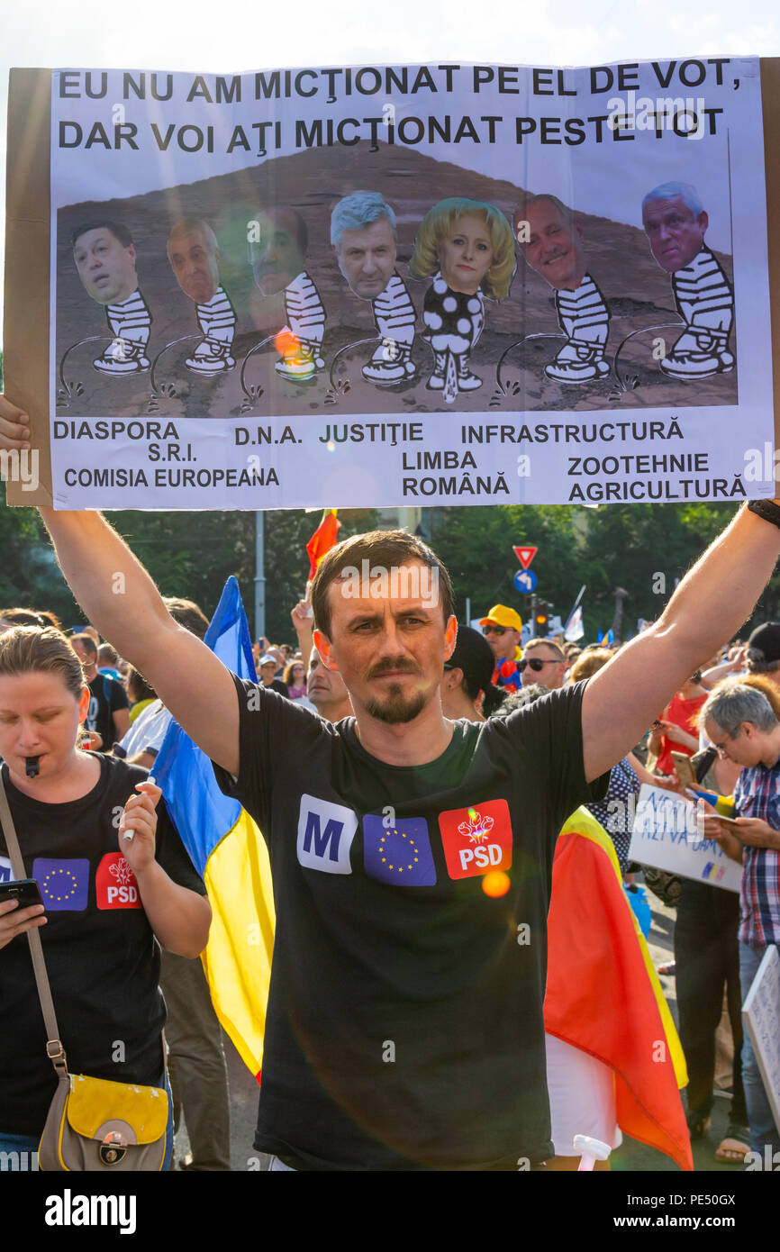 Bucarest, Roumanie - 10 août 2018 : Jeune homme pour protester contre la Diaspora protester contre la manière dont la Roumanie est régie par les sociaux-démocrates Banque D'Images