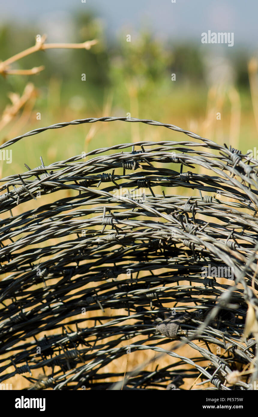 Close up de la bobine de fil de fer barbelé en champ, utilisé pour les clôtures agricoles, terres agricoles. Banque D'Images