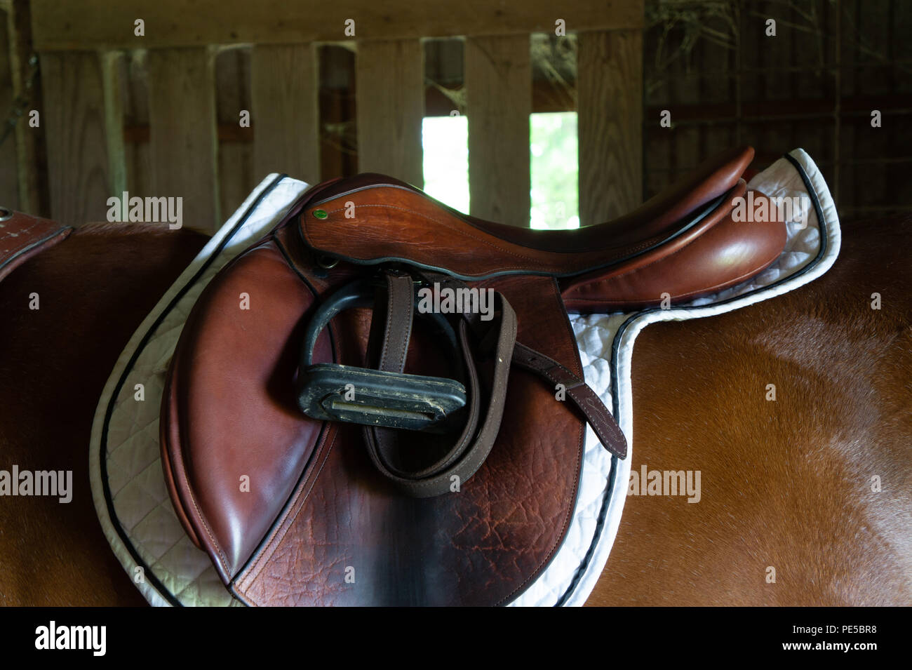 Vintage selle sur un cheval alezan un jour d'été Banque D'Images