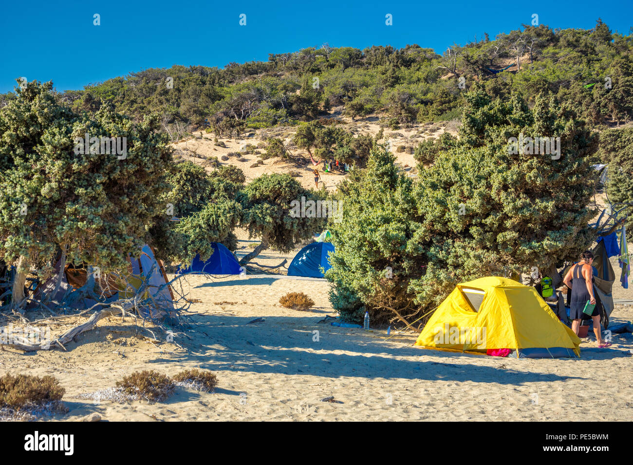 Les tentes de camping sous les arbres sur l'île de Gavdos, Crète, Grèce. Banque D'Images