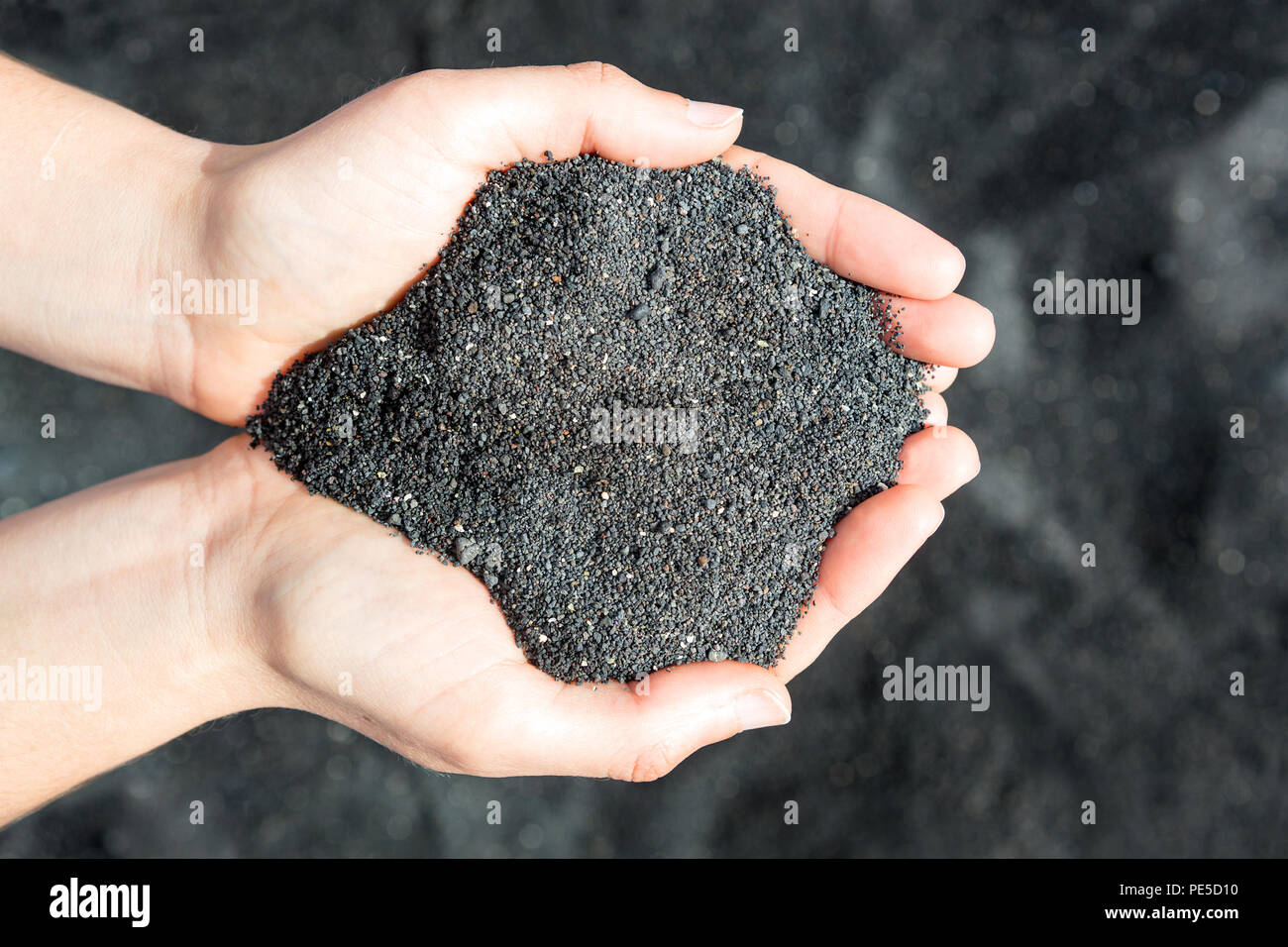 Femme caucasian hands holding sable noir. Banque D'Images