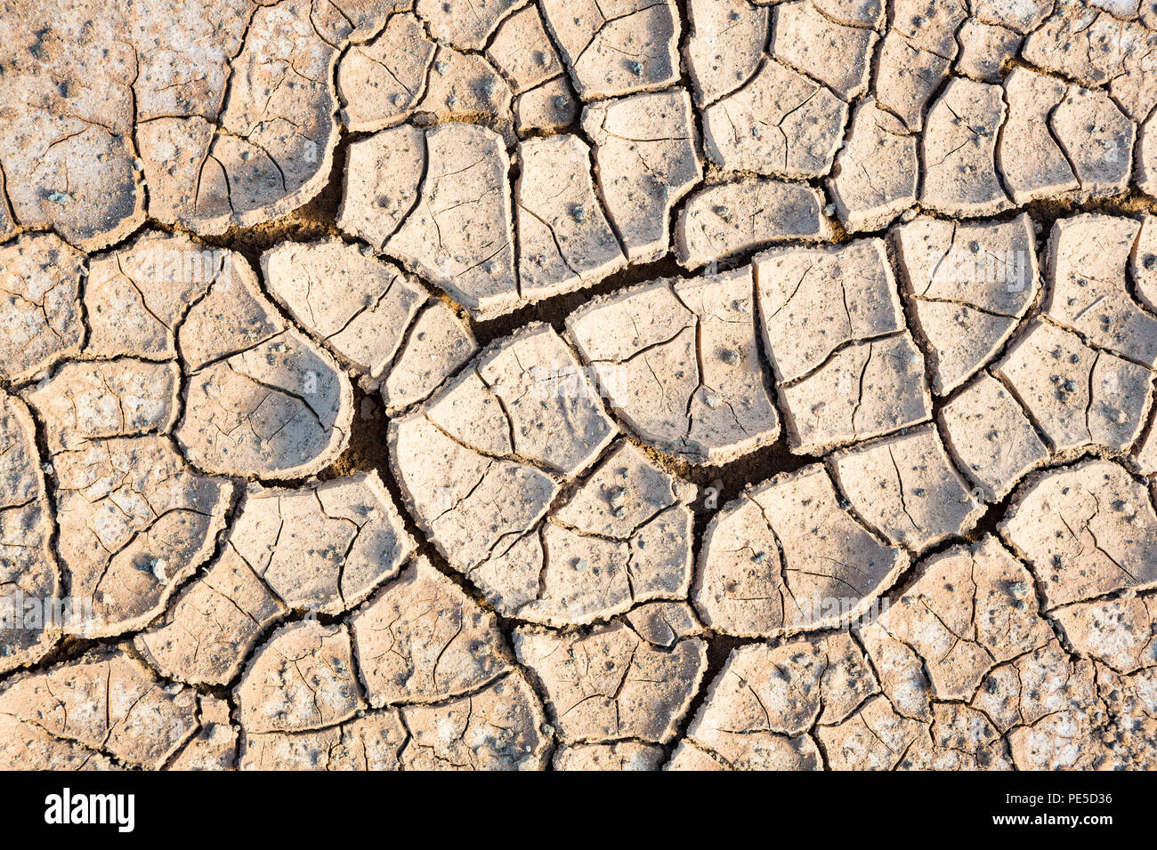 Le sol de la terre craquelée et séchées Banque D'Images