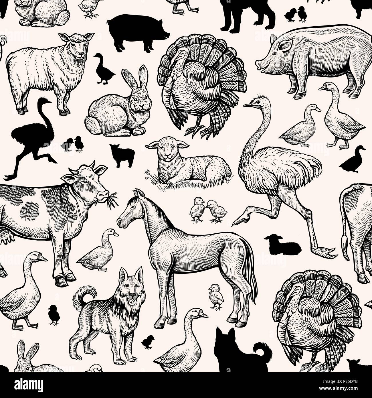 Les animaux de ferme modèle homogène. Gravure Vintage cheval, vache et porc, poulet, canard et de l'autruche. La Turquie, d'agneau et de mouton, de cheval. Handdrawn vecteur conception esquisse croquis noir pour imprimer Illustration de Vecteur