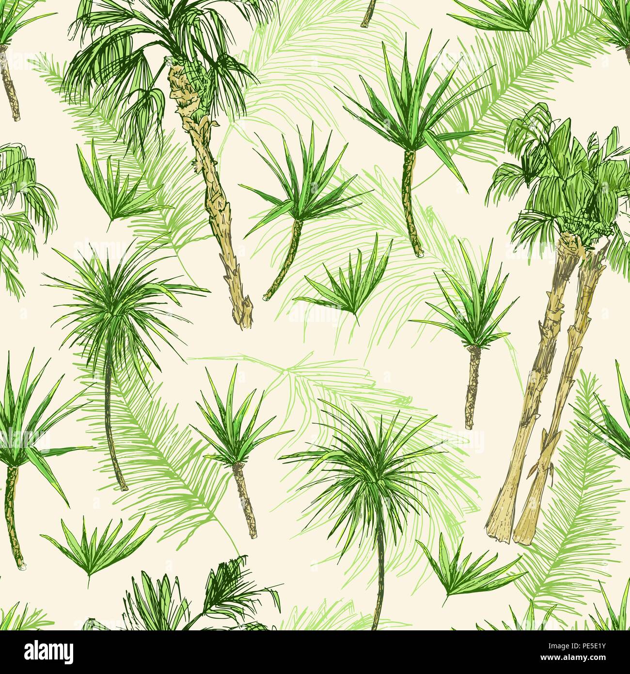 Palmiers. Transparente Noix de coco verte ou la reine des palmiers avec des feuilles. Plage et forêt tropicale, coco désert de la flore. Le feuillage des fougères subtropicales. Green palmae ou jungle arecaceae. Botanique de la mode Illustration de Vecteur Palmiers. Transparente Noix de coco verte ou la reine des palmiers avec des feuilles. Plage et forêt tropicale, coco désert de la flore. Le feuillage des fougères subtropicales. Green palmae ou jungle arecaceae. Botanique de la mode Illustration de Vecteur