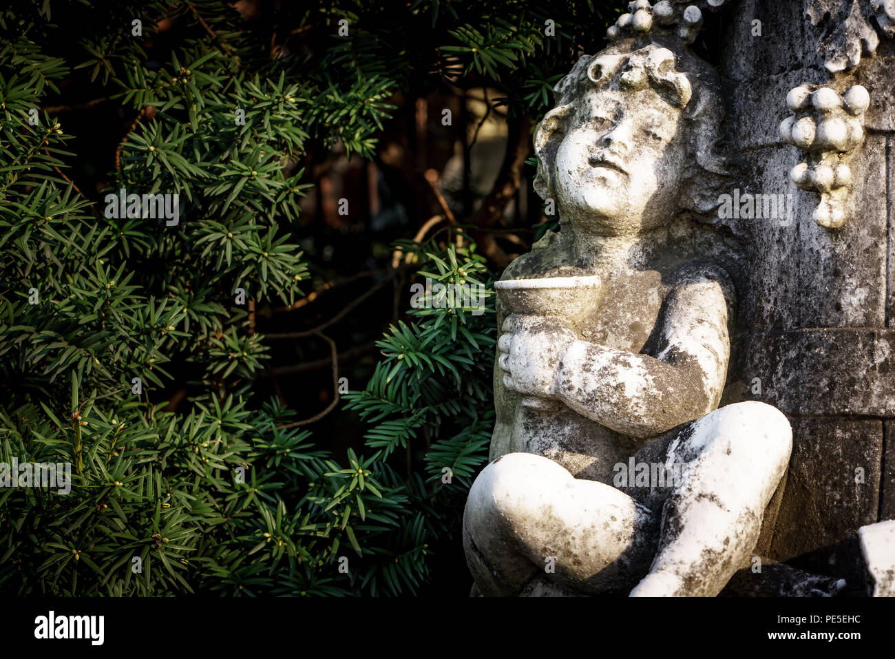 Vin léger côté chérubin statue en face de jardin. Banque D'Images