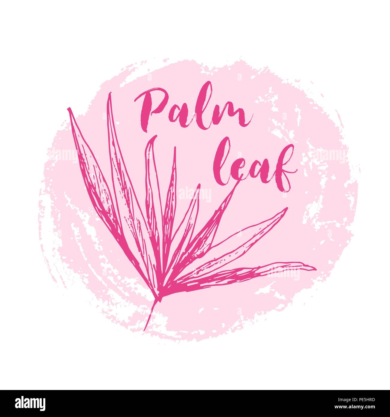 Coconut queen ou isolées avec des feuilles de palmiers. Plage et forêt tropicale, coco désert de la flore. Le feuillage des fougères subtropicales. Green palmae ou jungle arecaceae. Climat de l'île,botanique, thème de l'environnement Illustration de Vecteur Coconut queen ou isolées avec des feuilles de palmiers. Plage et forêt tropicale, coco désert de la flore. Le feuillage des fougères subtropicales. Green palmae ou jungle arecaceae. Climat de l'île,botanique, thème de l'environnement Illustration de Vecteur