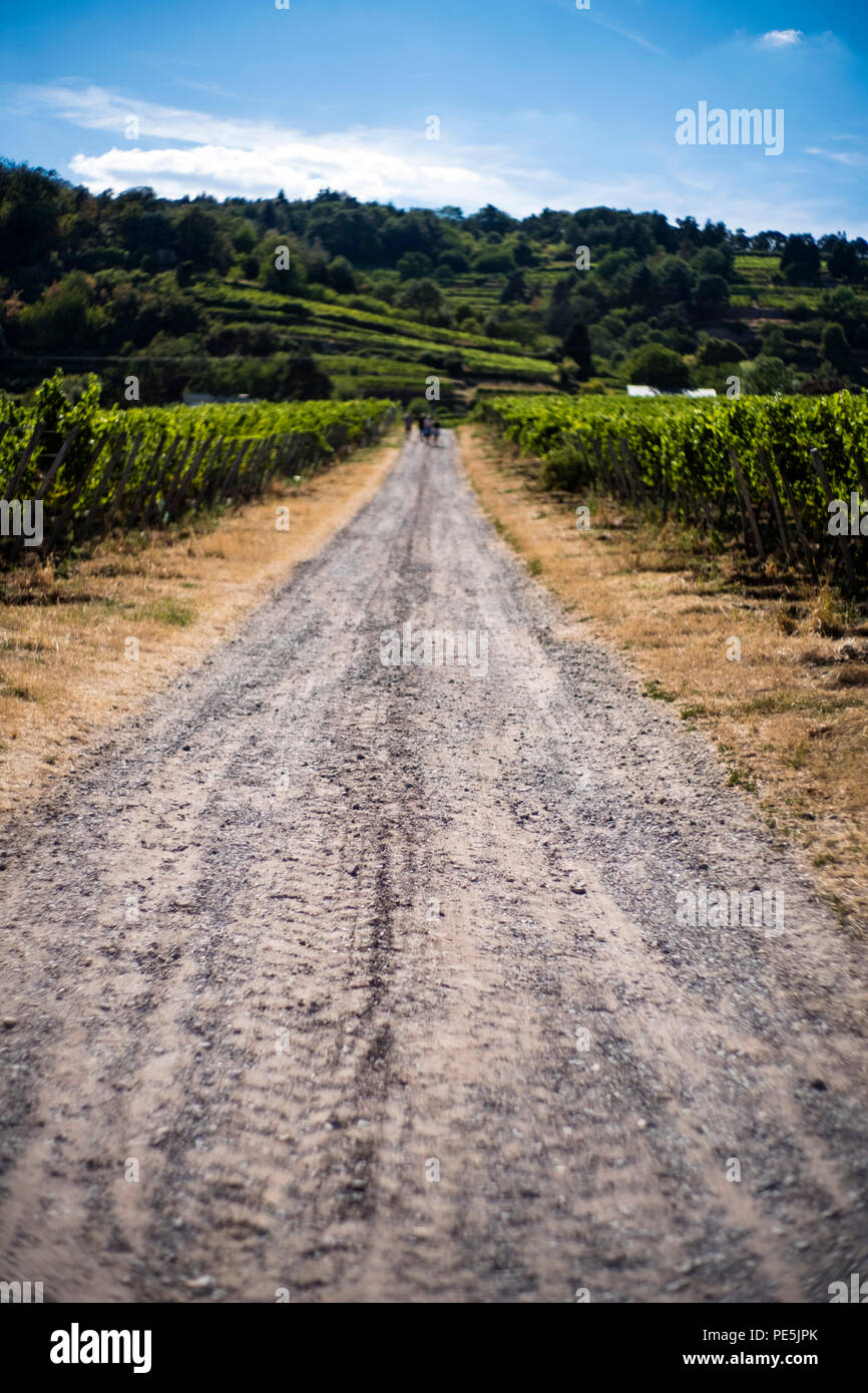 Route de campagne, selective focus Banque D'Images